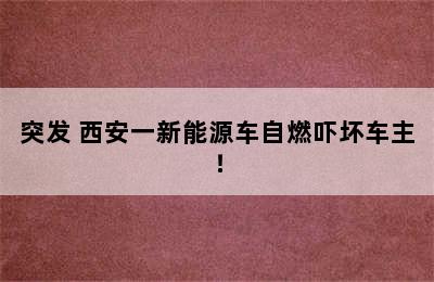 突发 西安一新能源车自燃吓坏车主！